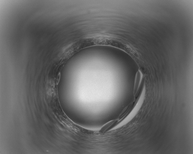X0000081440964200701191644