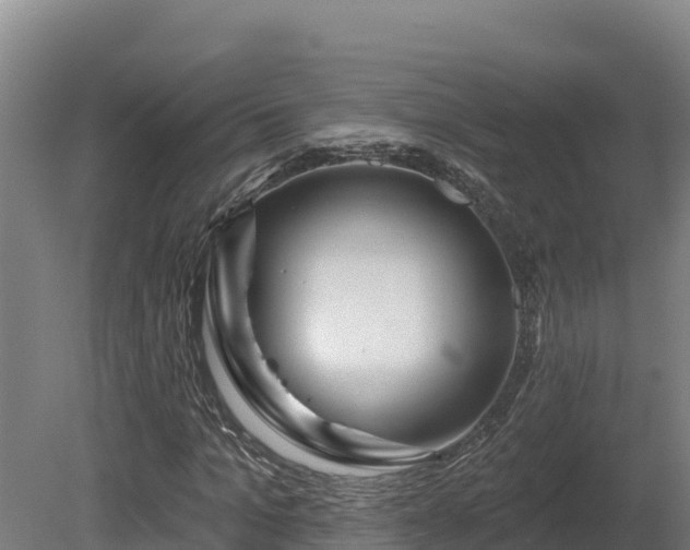 X0000081440965200701191644
