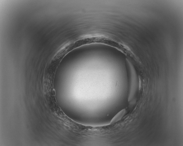 X0000081440967200701191643
