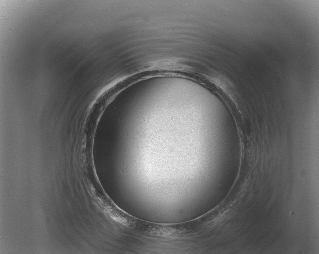 X0000081440971200701191643