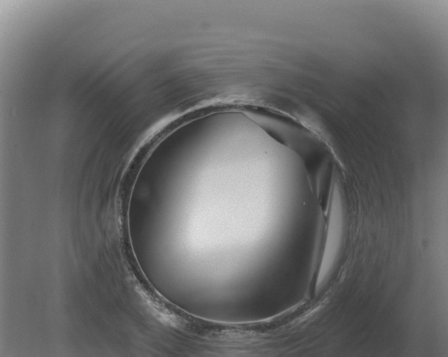 X0000081440981200701191643