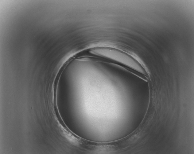 X0000081440988200701191643