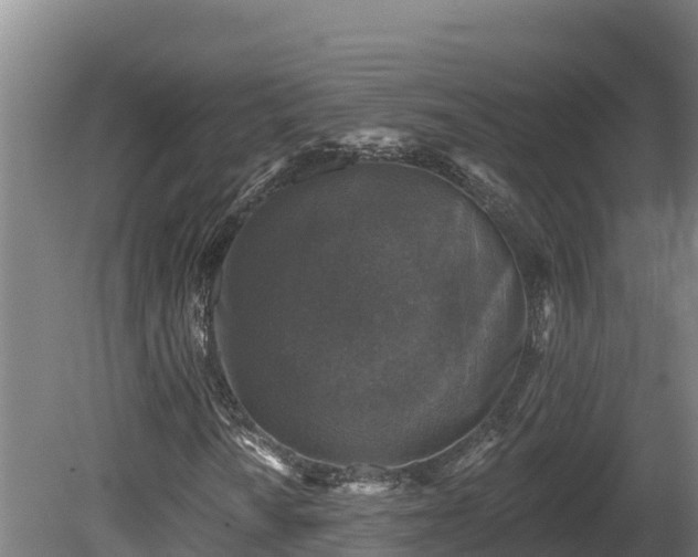 X0000081441010200701191642