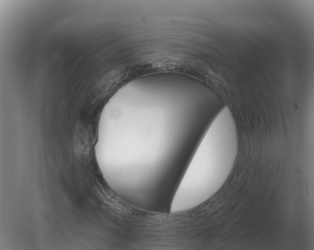 X0000081441012200701191642