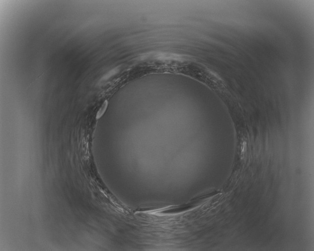 X0000081441013200701191642