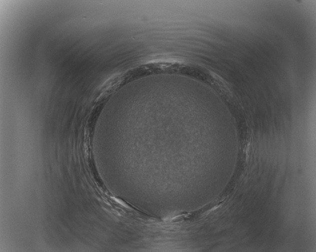 X0000081441014200701191642