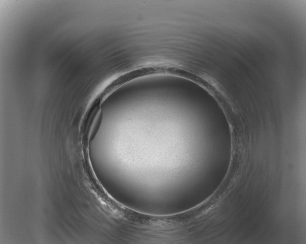 X0000081441022200701191642