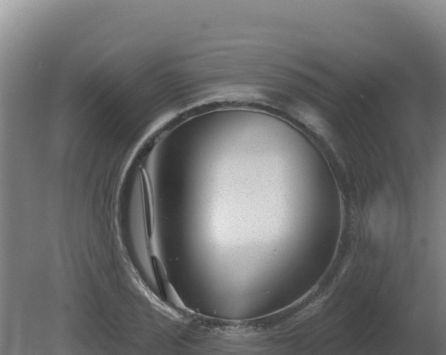 X0000081441029200701191642