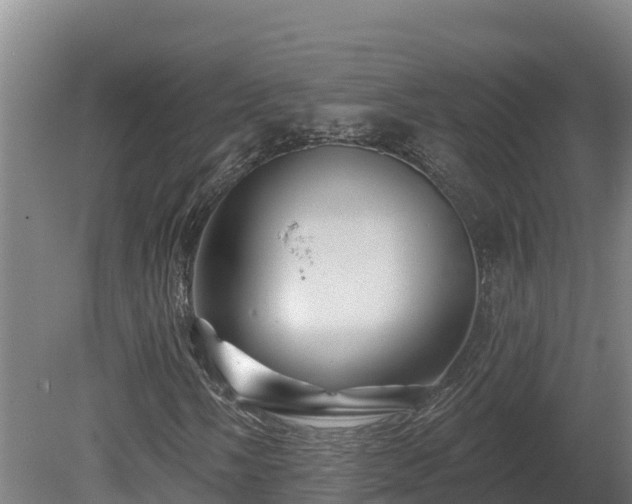 X0000081441058200701191642