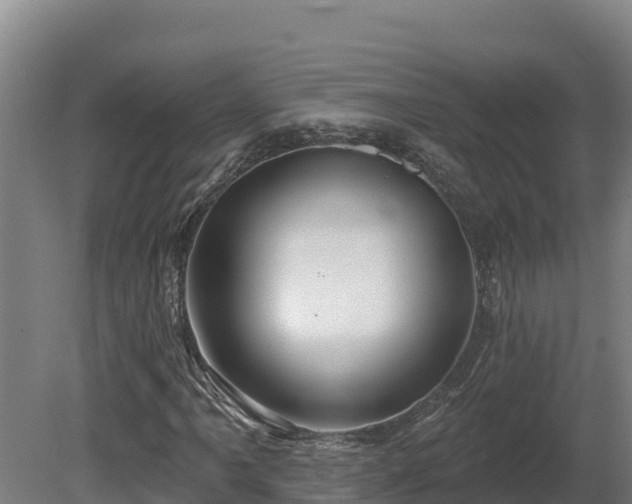 X0000081441061200701191642