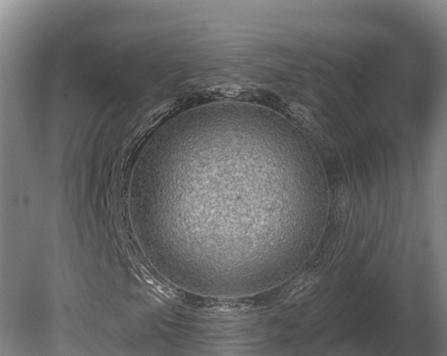 X0000081441105200701191640