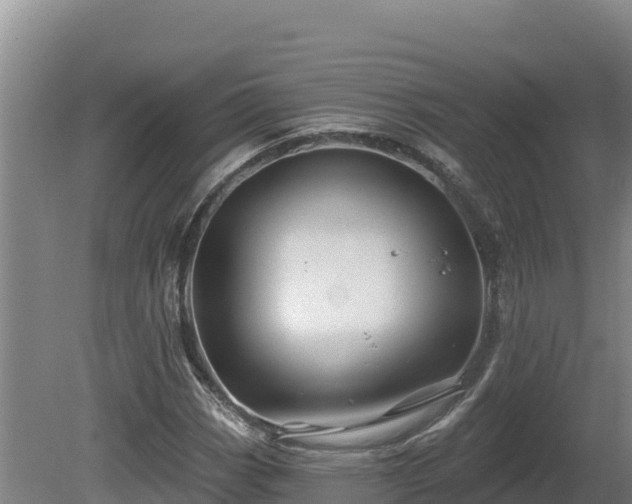 X0000081441113200701191640