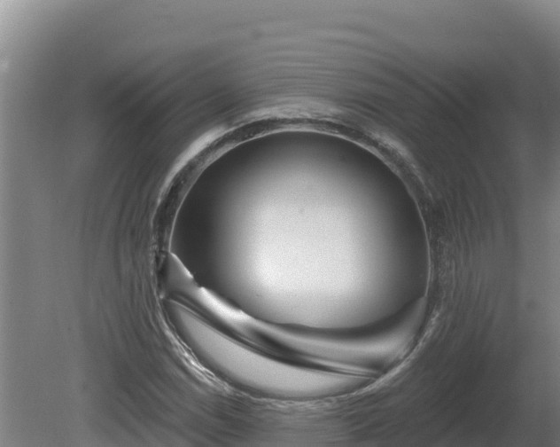 X0000081441114200701191641