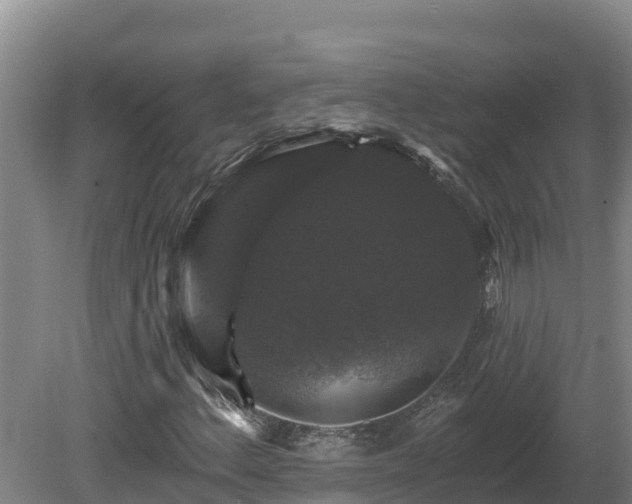X0000081441156200701191640