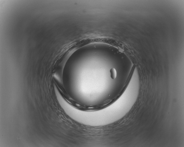 X0000081441157200701191640