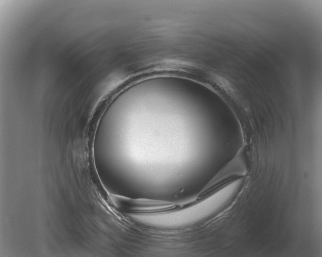 X0000081441164200701191640