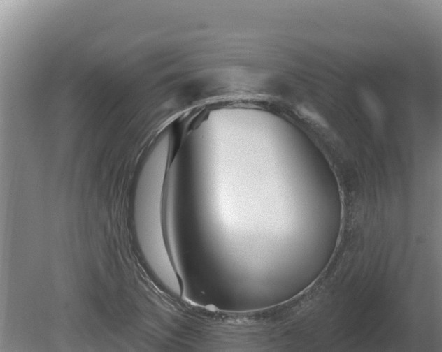 X0000081441169200701191640