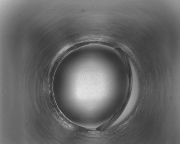 X0000081441172200701191640