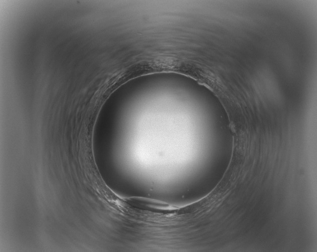 X0000081441201200701191639