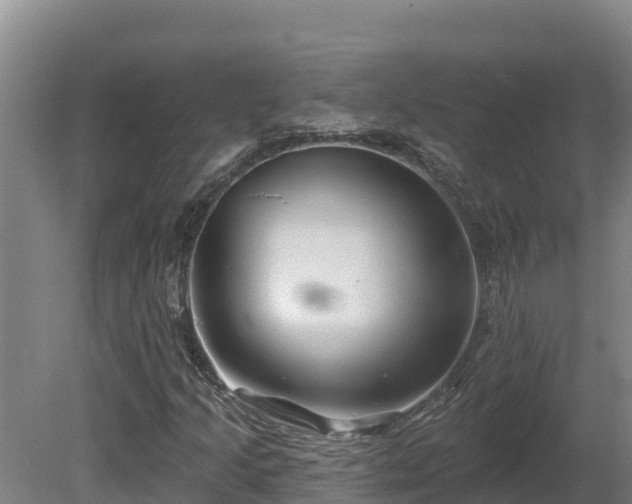 X0000081441205200701191639