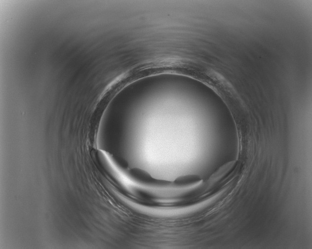 X0000081441210200701191639