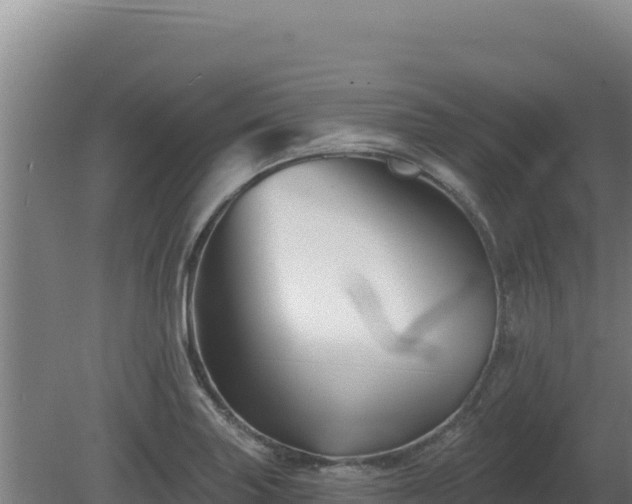 X0000081441227200701191639