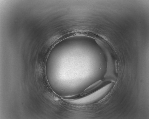 X0000081441257200701191639