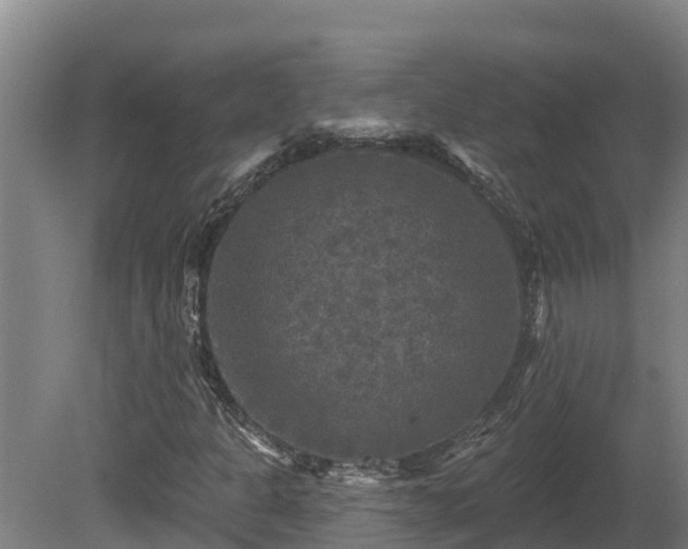 X0000081441301200701191637