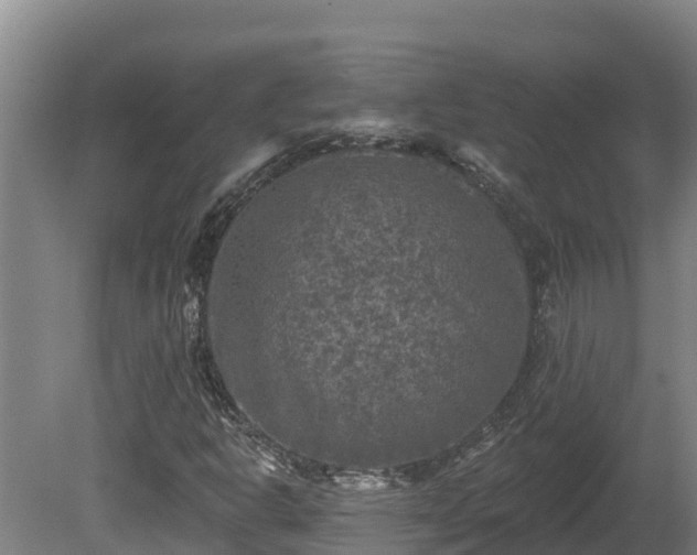 X0000081441302200701191637