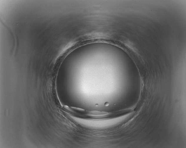 X0000081441309200701191637