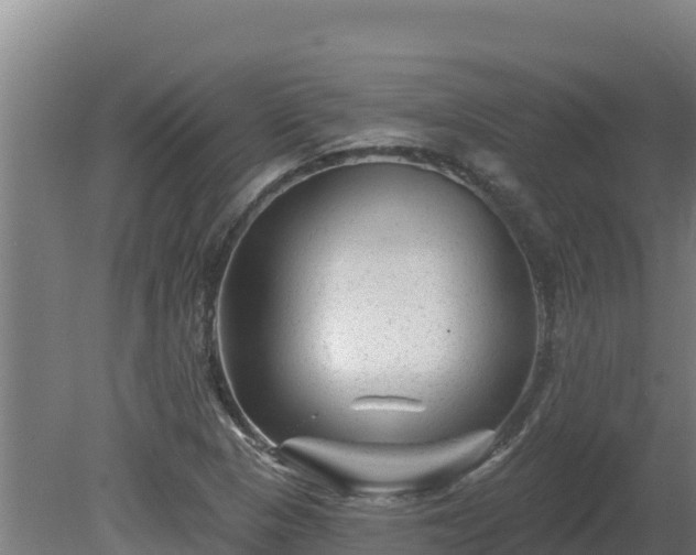 X0000081441313200701191637