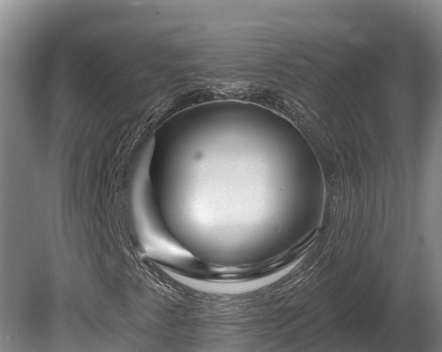 X0000081441345200701191637