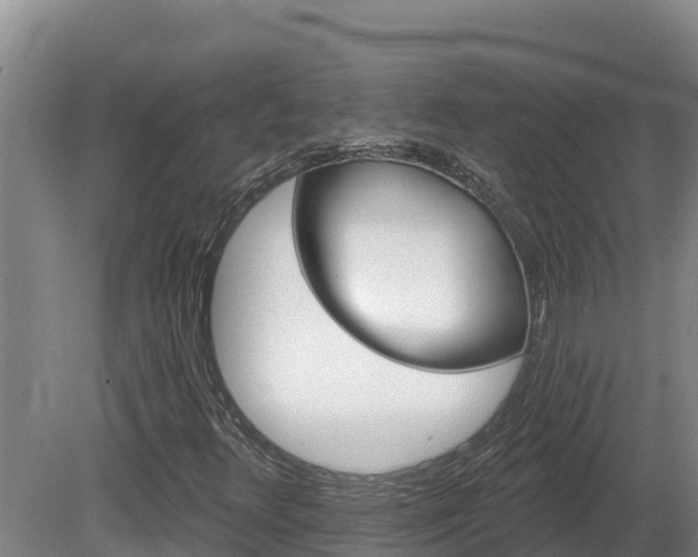 X0000081441348200701191637