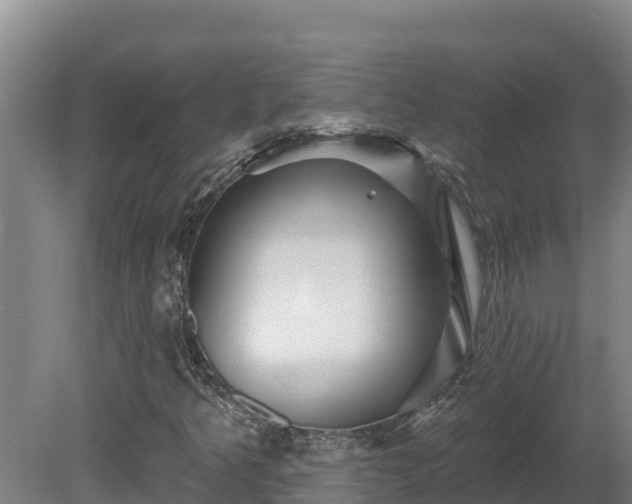 X0000081441349200701191637