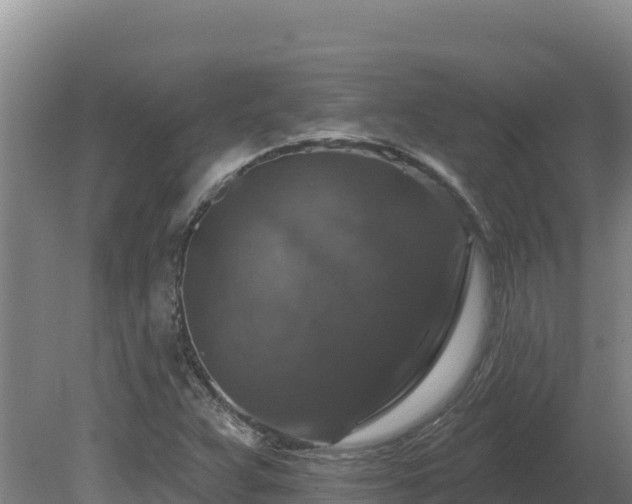 X0000081441359200701191637