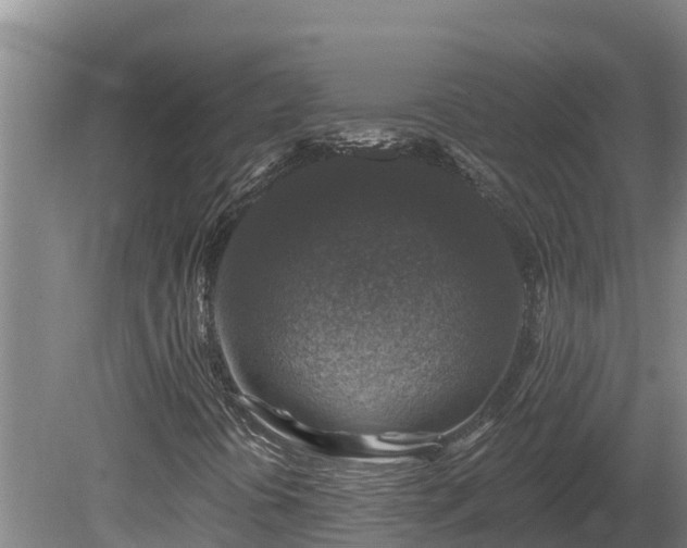 X0000081441394200701191636