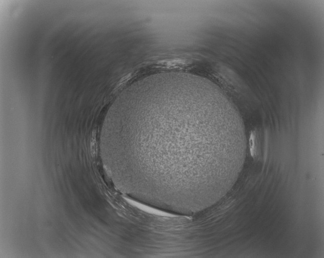 X0000081441395200701191636