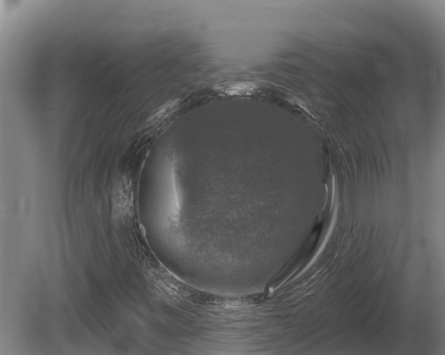 X0000081441443200701191635