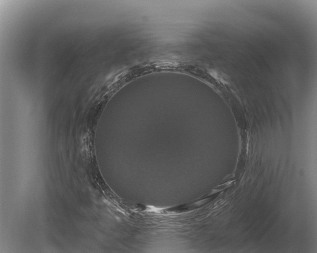 X0000081441445200701191635