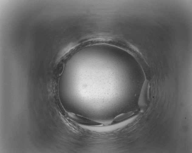 X0000081441448200701191635