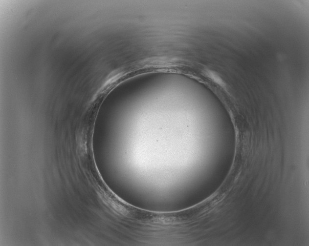 X0000081441451200701191635