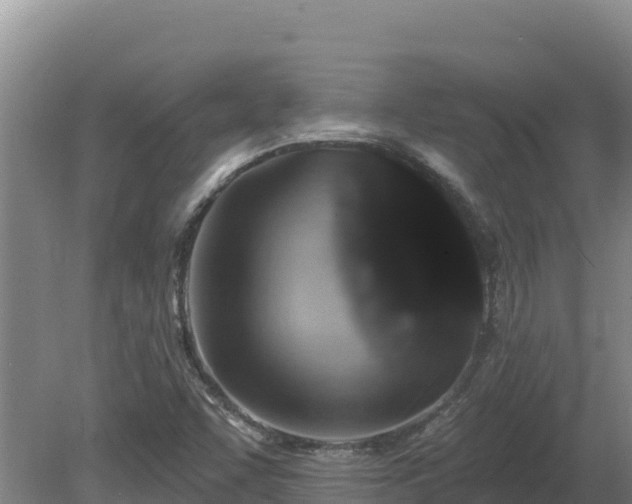X0000081441455200701191635
