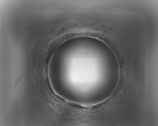 X0000081441493200701191634