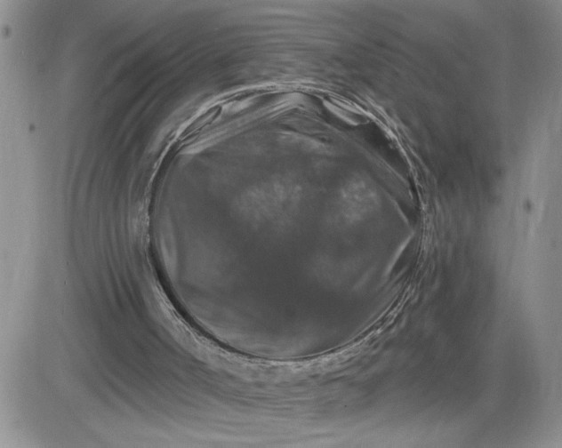 X0000081440002200701261859