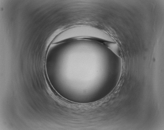 X0000081440003200701261859