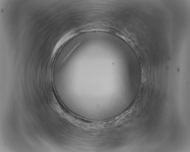 X0000081440004200701261859