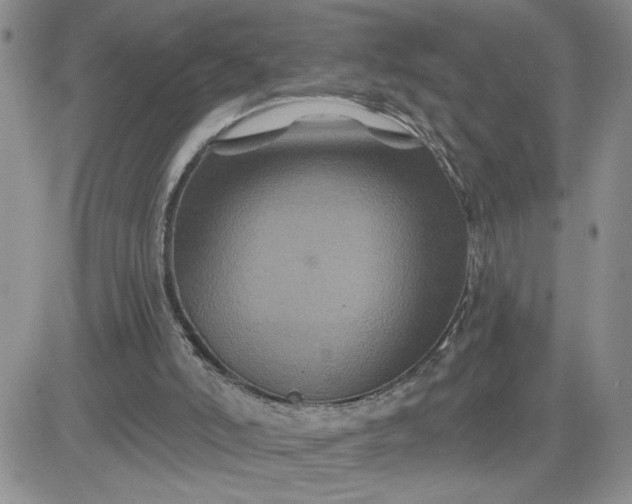 X0000081440006200701261859