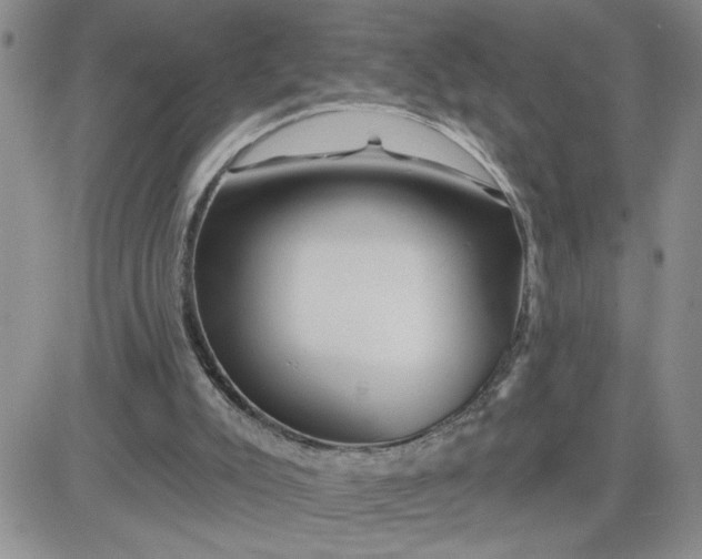 X0000081440007200701261859
