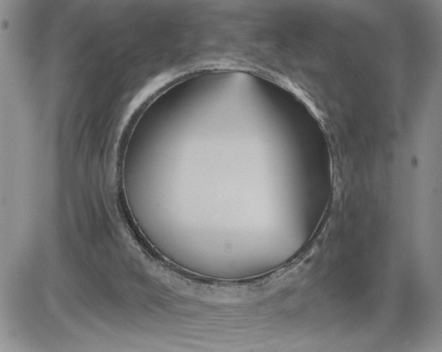 X0000081440008200701261859