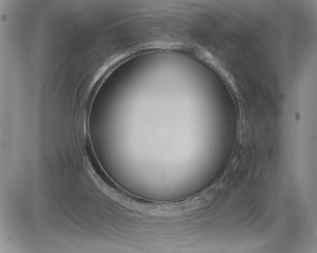 X0000081440011200701261859